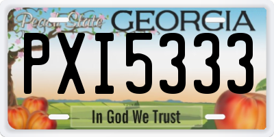 GA license plate PXI5333