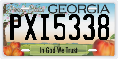 GA license plate PXI5338