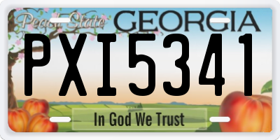 GA license plate PXI5341