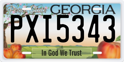 GA license plate PXI5343
