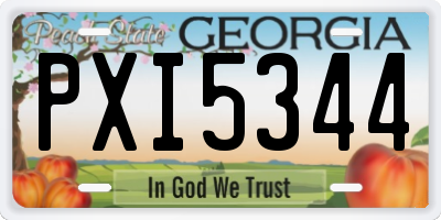 GA license plate PXI5344