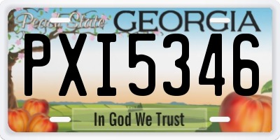 GA license plate PXI5346