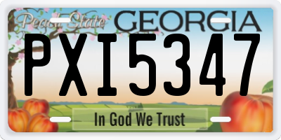 GA license plate PXI5347