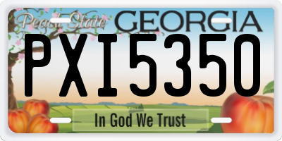 GA license plate PXI5350