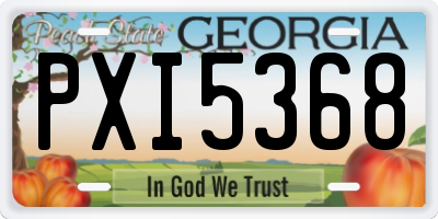 GA license plate PXI5368