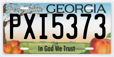 GA license plate PXI5373