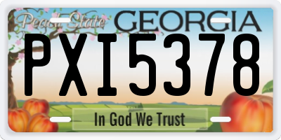 GA license plate PXI5378