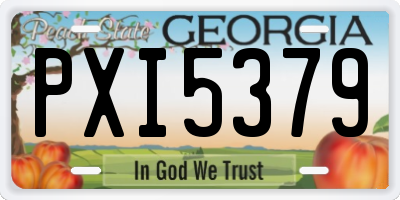 GA license plate PXI5379