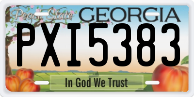 GA license plate PXI5383