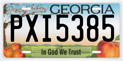 GA license plate PXI5385