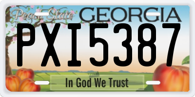 GA license plate PXI5387