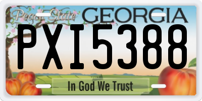 GA license plate PXI5388