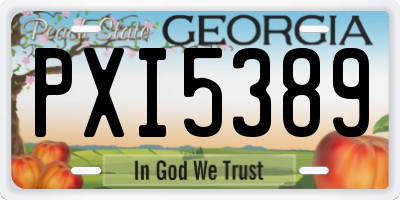 GA license plate PXI5389