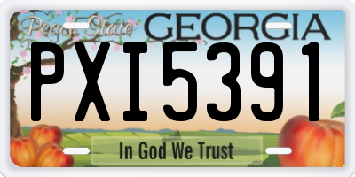 GA license plate PXI5391