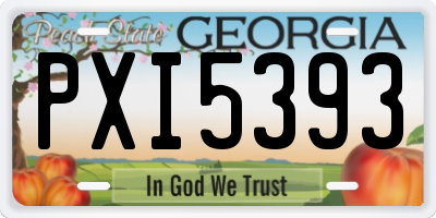 GA license plate PXI5393