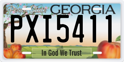 GA license plate PXI5411