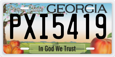 GA license plate PXI5419