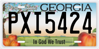 GA license plate PXI5424