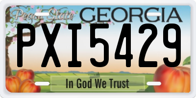 GA license plate PXI5429