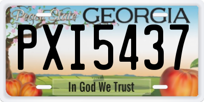 GA license plate PXI5437