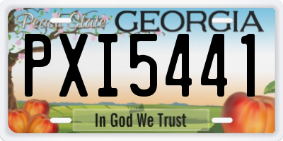 GA license plate PXI5441