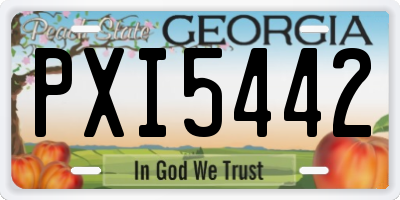 GA license plate PXI5442