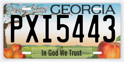 GA license plate PXI5443
