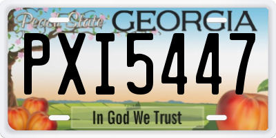 GA license plate PXI5447