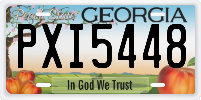 GA license plate PXI5448