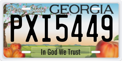 GA license plate PXI5449