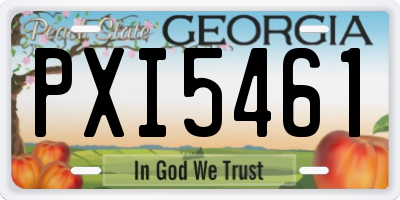 GA license plate PXI5461