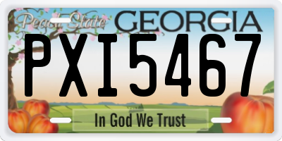 GA license plate PXI5467