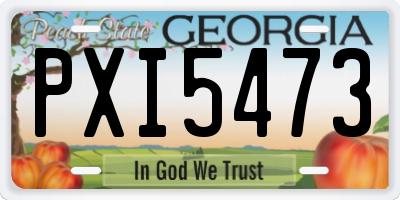 GA license plate PXI5473