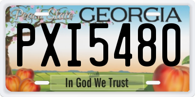 GA license plate PXI5480