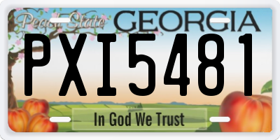 GA license plate PXI5481