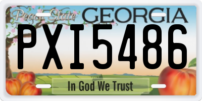 GA license plate PXI5486