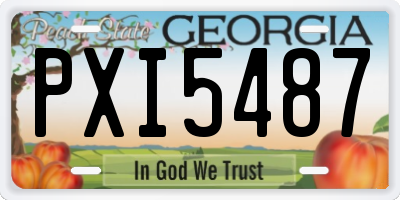 GA license plate PXI5487