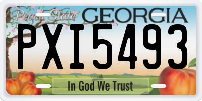 GA license plate PXI5493
