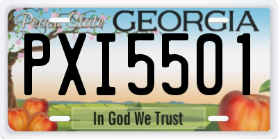 GA license plate PXI5501