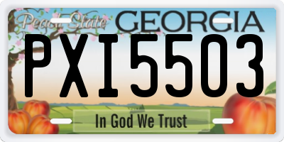 GA license plate PXI5503