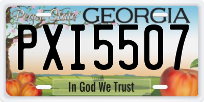 GA license plate PXI5507
