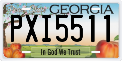 GA license plate PXI5511