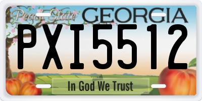 GA license plate PXI5512