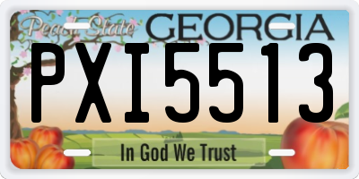 GA license plate PXI5513