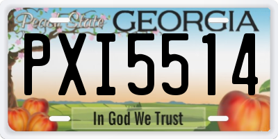 GA license plate PXI5514