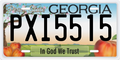 GA license plate PXI5515
