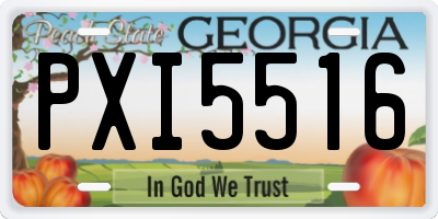 GA license plate PXI5516