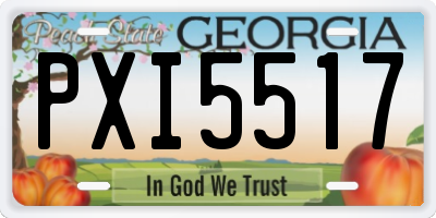 GA license plate PXI5517