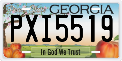 GA license plate PXI5519