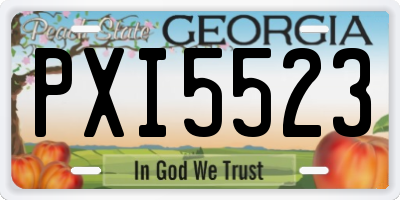 GA license plate PXI5523